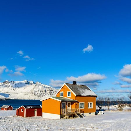 Lillevik Lofoten Gimsoy Exteriér fotografie