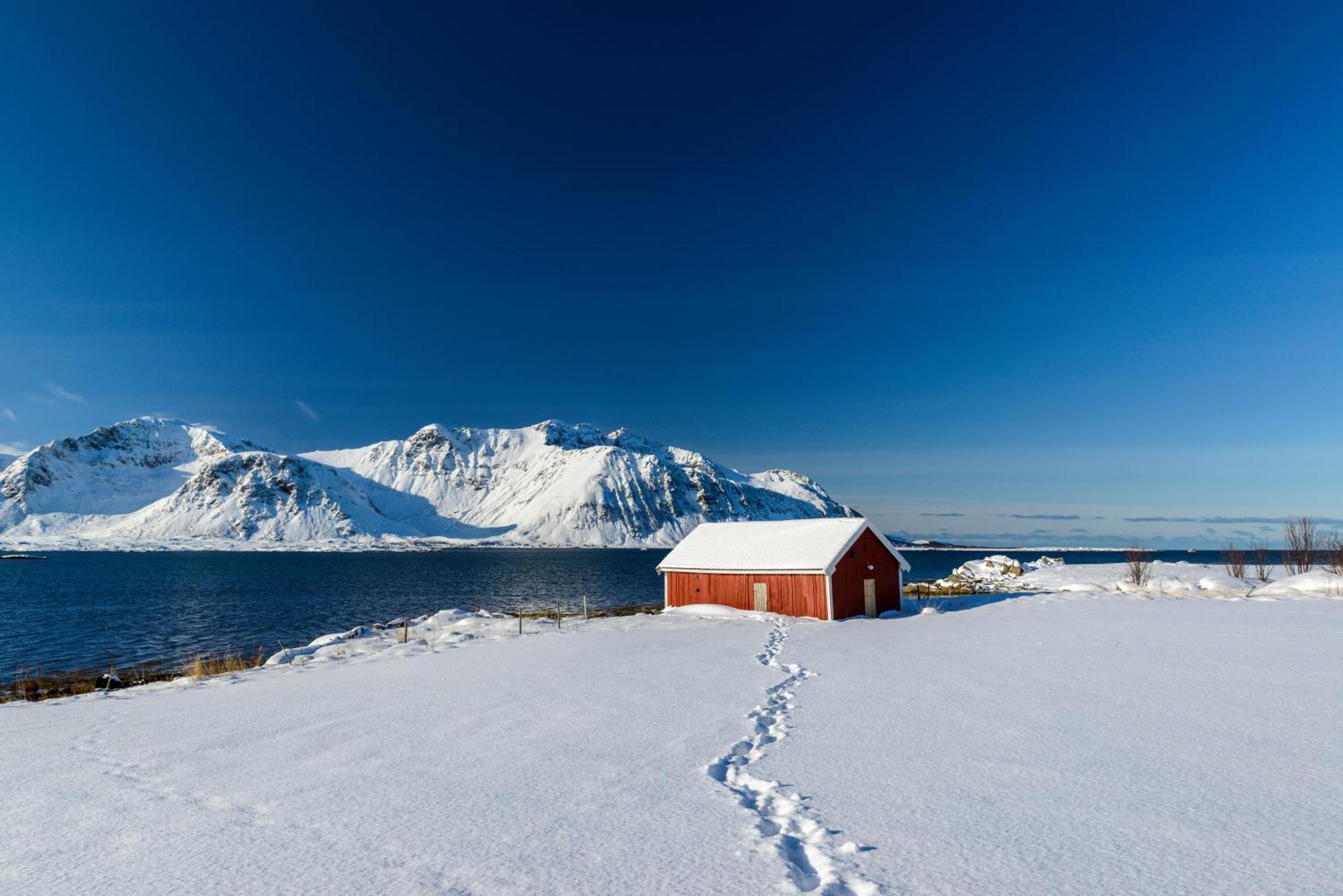 Lillevik Lofoten Gimsoy Exteriér fotografie